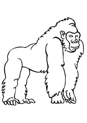 Горилла рисунок для детей контур