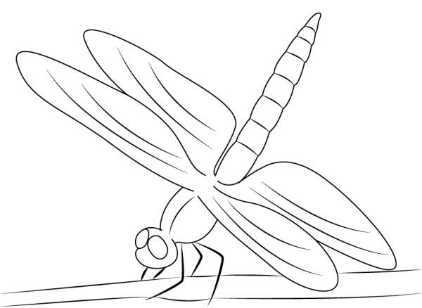 Тату Стрекоза эскизы