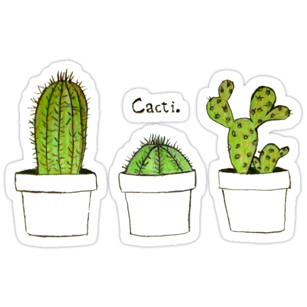 Кактус на окне рисунок