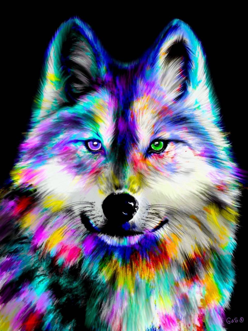 Волки красивые разноцветные