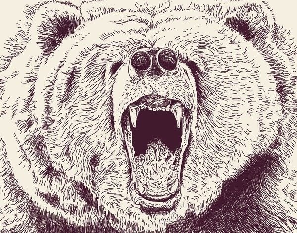 Оскал медведя карандашом