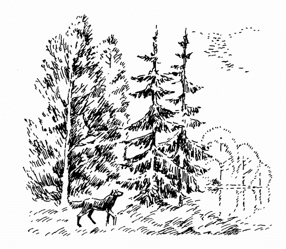 Пришвин моя Родина кладовая солнца