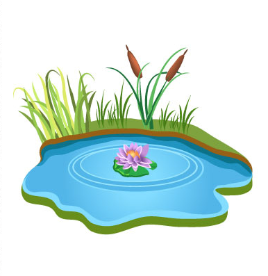 Водоем на прозрачном фоне