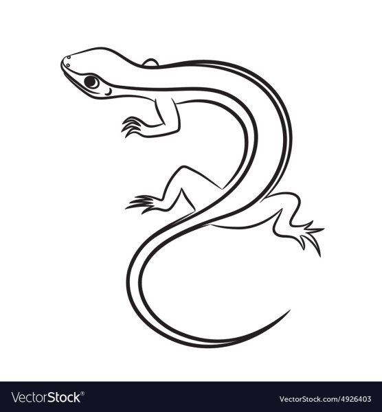 Ящерица карандашом для детей