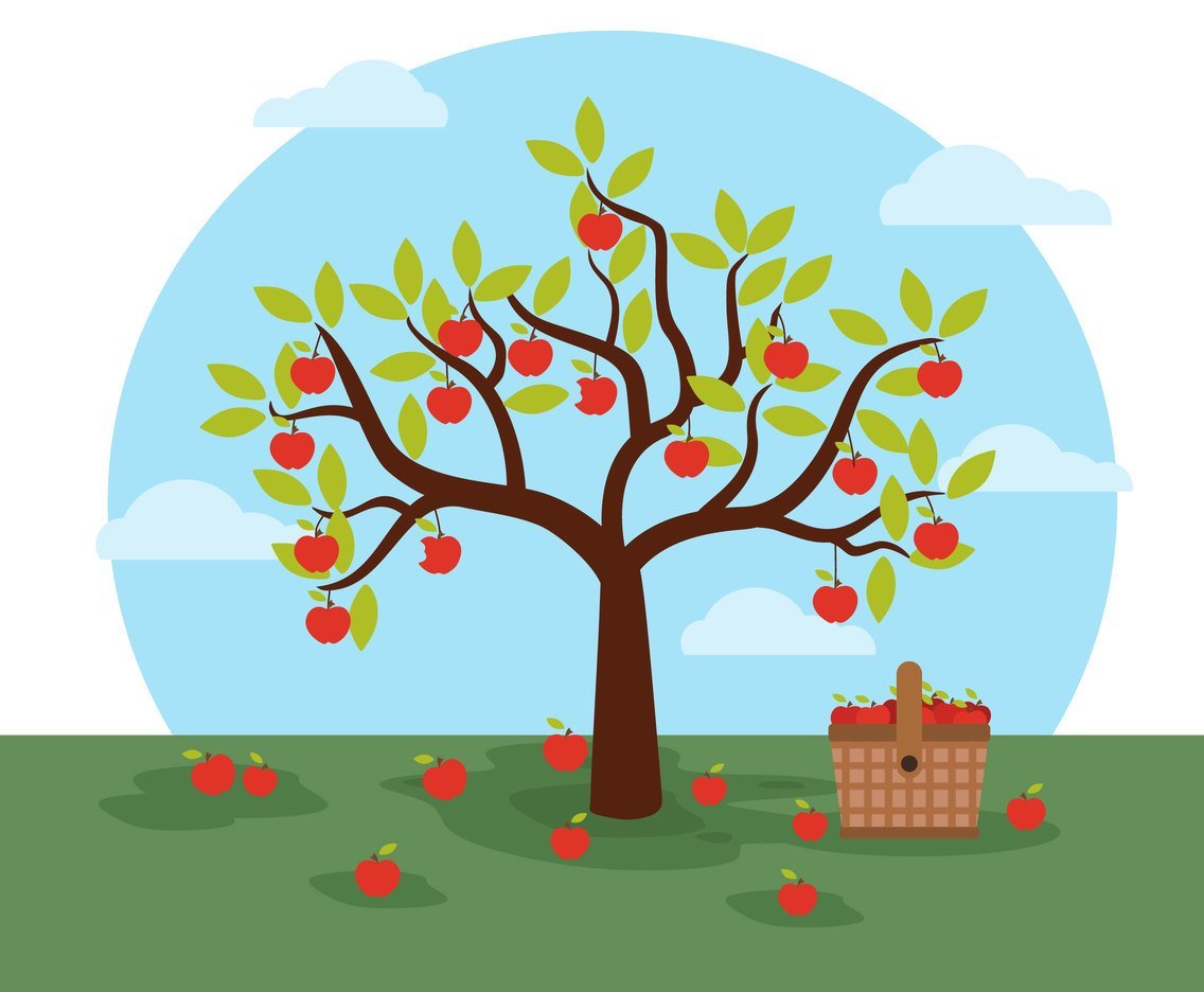 Яблочное дерево вектор