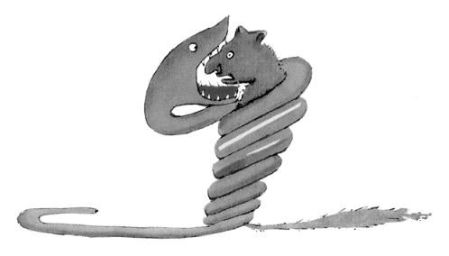 Маленький принц рисунок слона (49 фото)