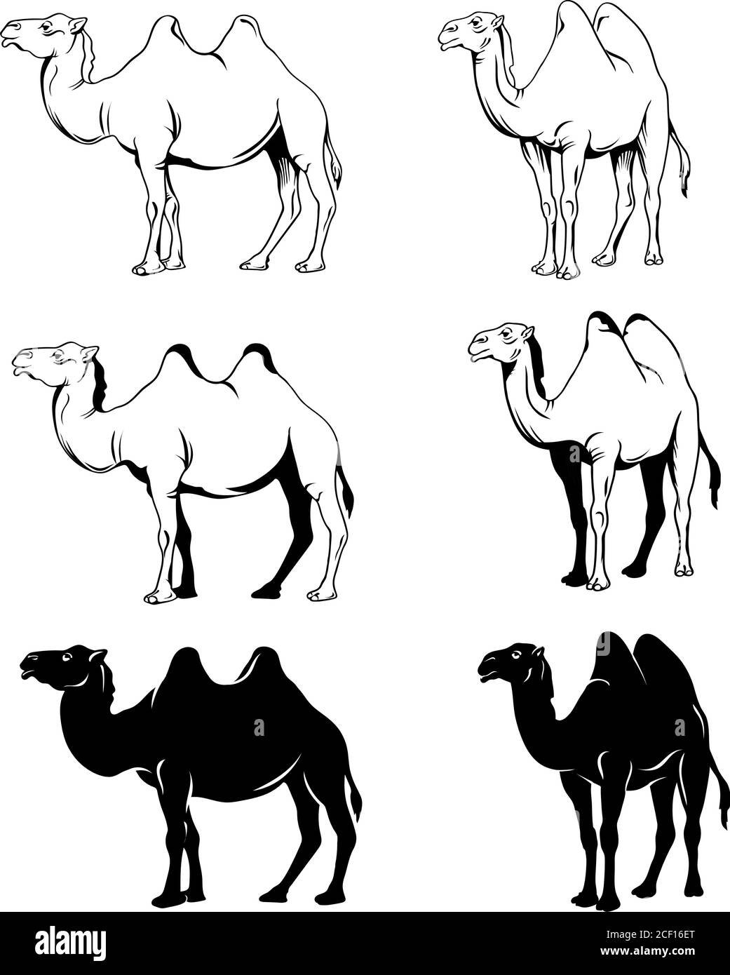 Стилизованный верблюд