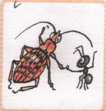 Бианки муравьишка домой спешил