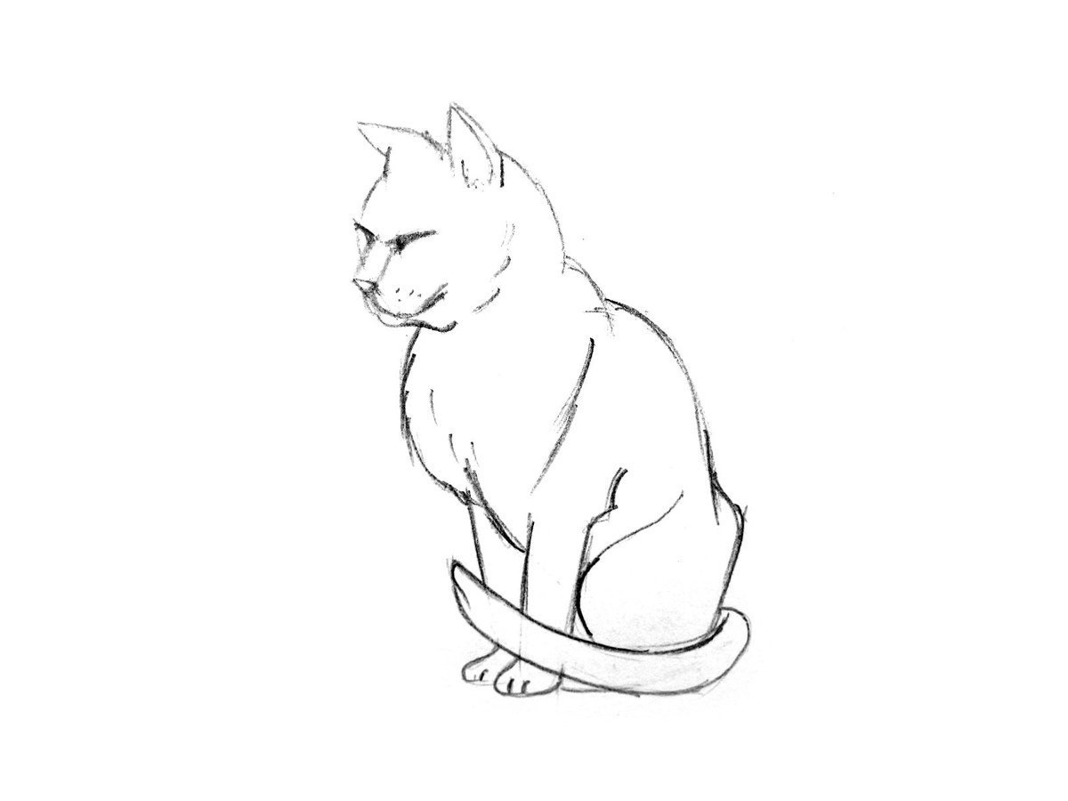 Кот сидит рисунок карандашом