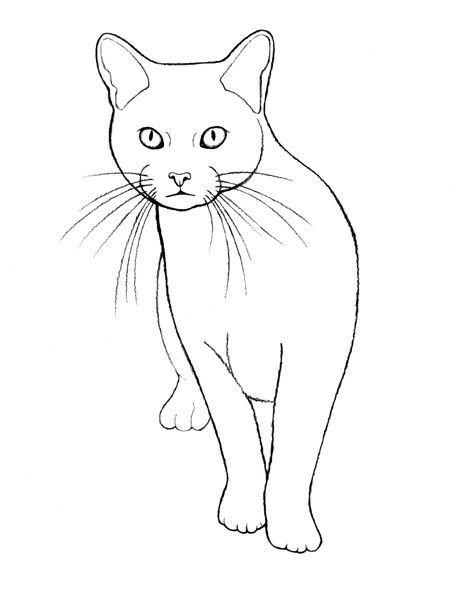 Нарисованная сидячая кошка