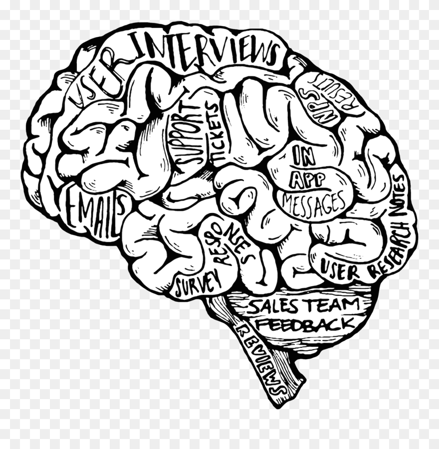 Рисунок мозга легко. Мозг рисунок. Мозг нарисованный. Мозг эскиз.