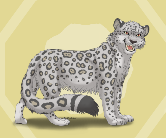 Рисунки снежного Барса для срисовки