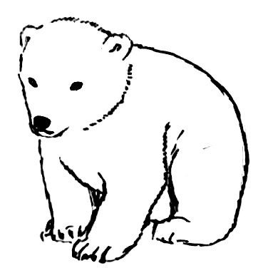 Медведь маленький контур