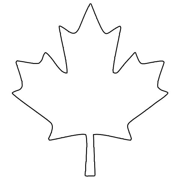 Кленовый лист контур