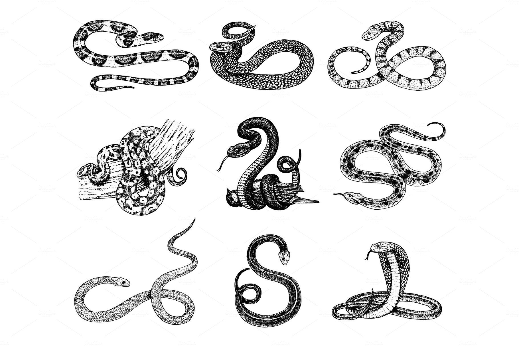 Que significa el tatuaje de una serpiente