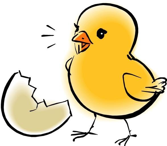 Кавайные цыплята