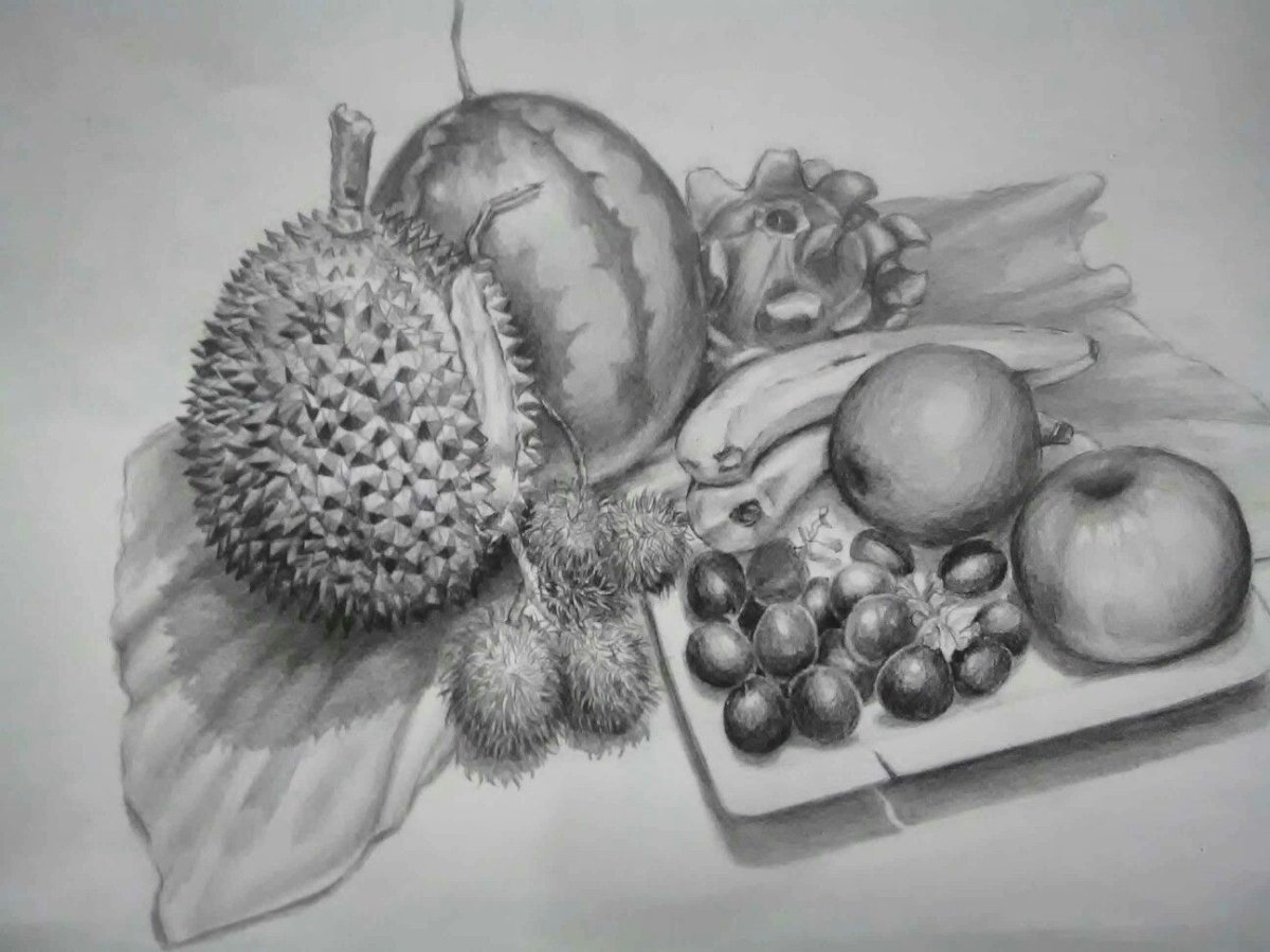 Академический рисунок фрукты (48 фото)
