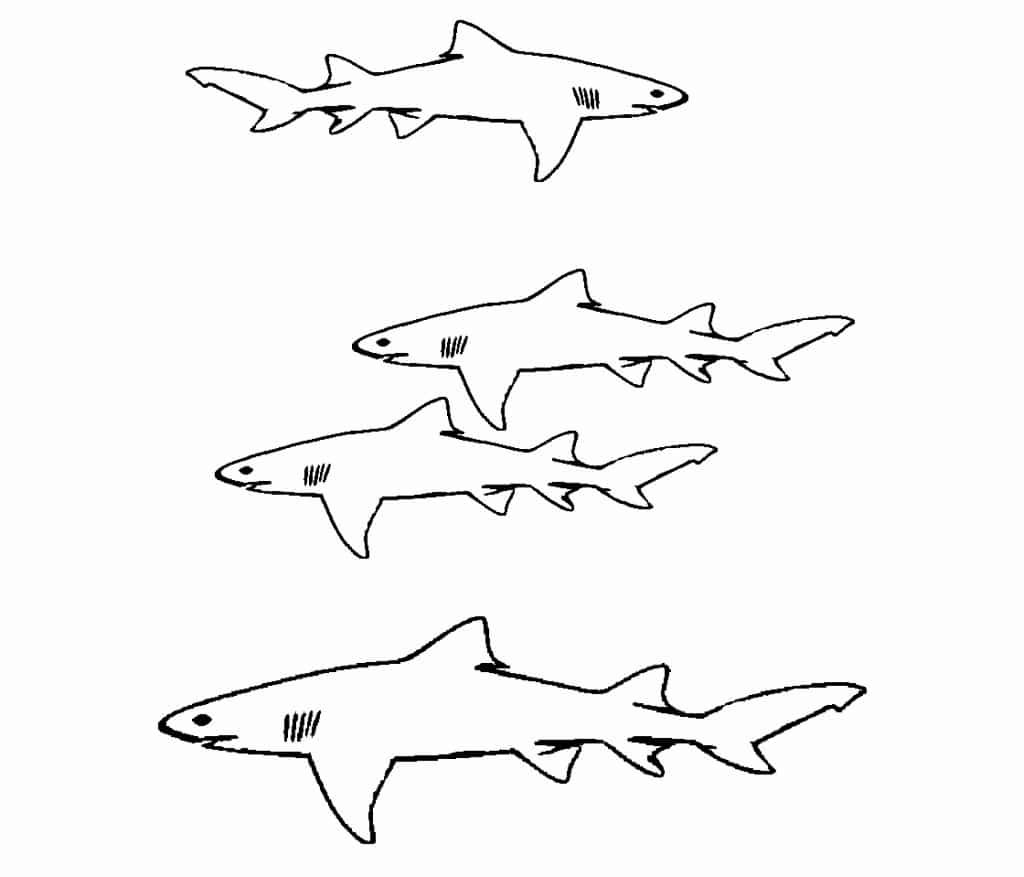 Трафарет акулы для вырезания