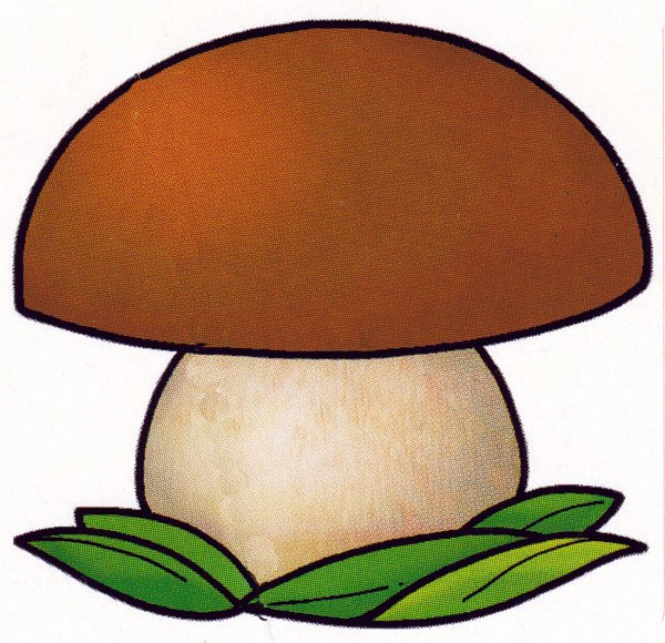 Грибы карандашом