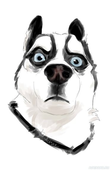 Крутые рисунки собак