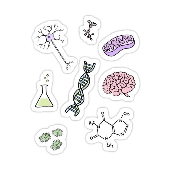 Биология раскраска