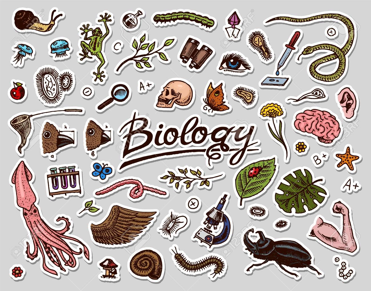 Наклейки связанные с биологией