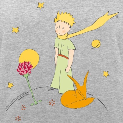 Маленький принц иллюстрации из книги оригинал