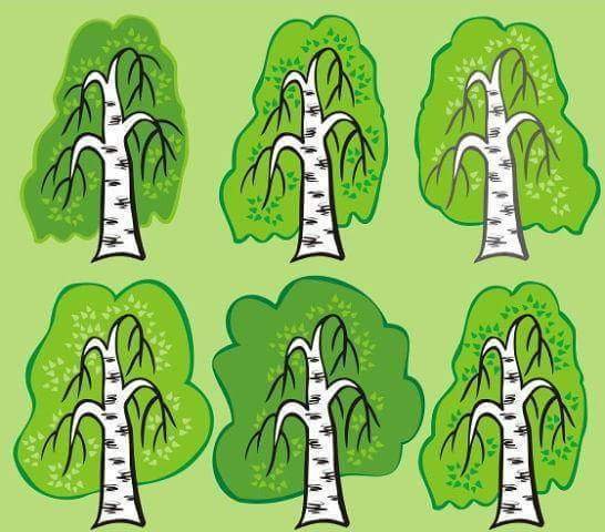 Одинокая берёзка рисунок