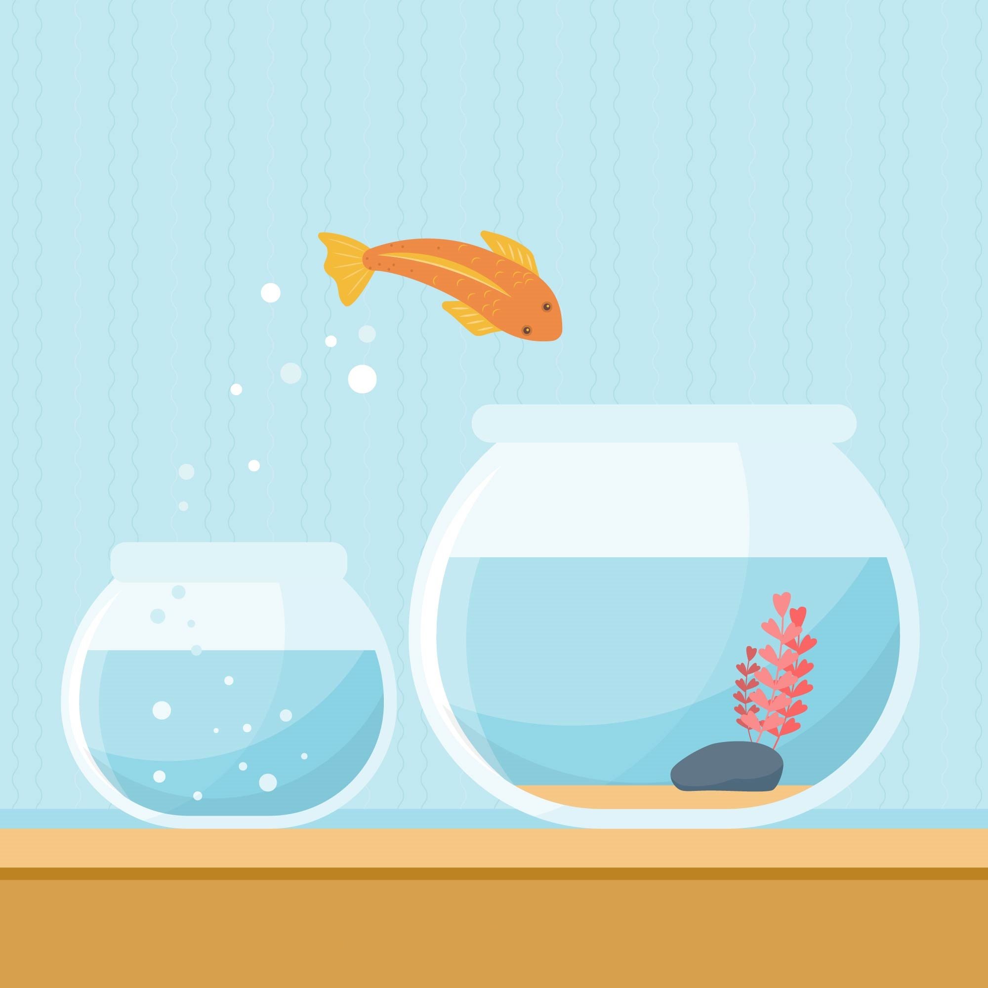Рыбка прыгает из одного аквариума в другой