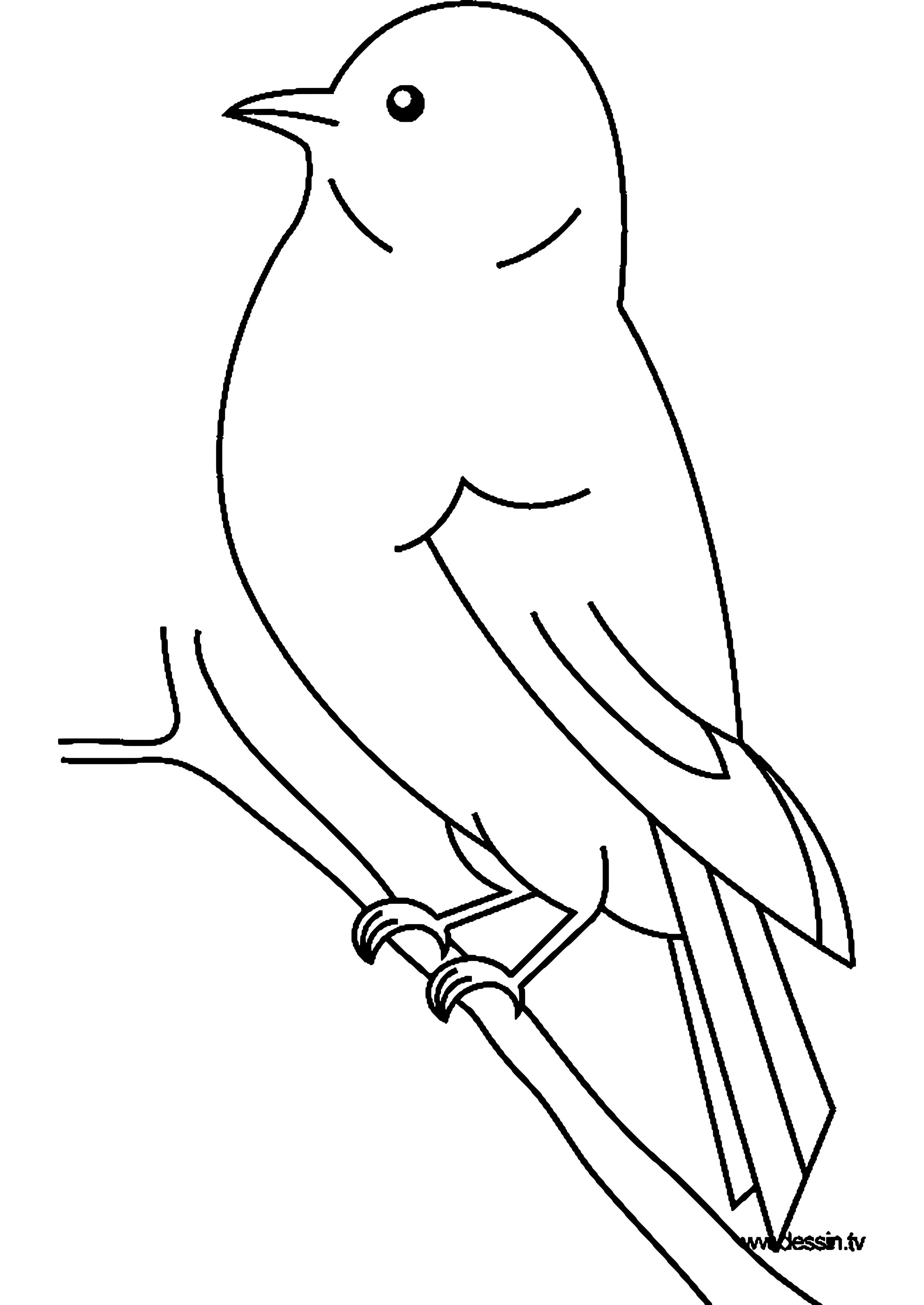 Трафарет птицы для рисования детям