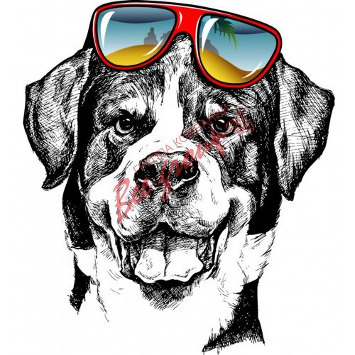 Собака в очках принт