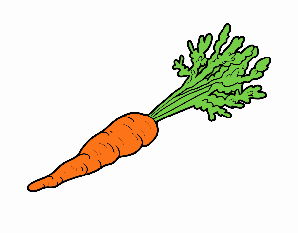 Морковка рисунок карандашом легкий