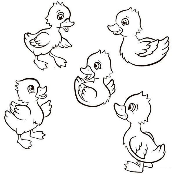 Раскраска Гусь гусыня гусята