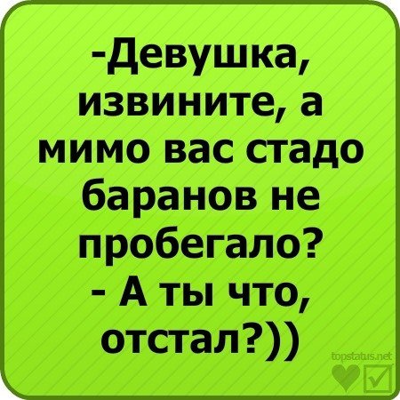 Смешные статусы в ВК