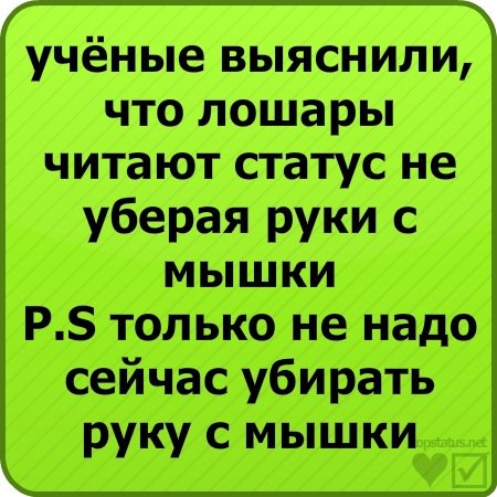 Крутые смешные статусы
