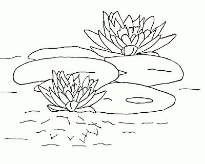 Раскраска пруд с кувшинками