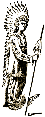 Э Сетон Томпсон маленькие дикари