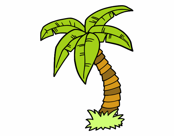 Пальма рисунок