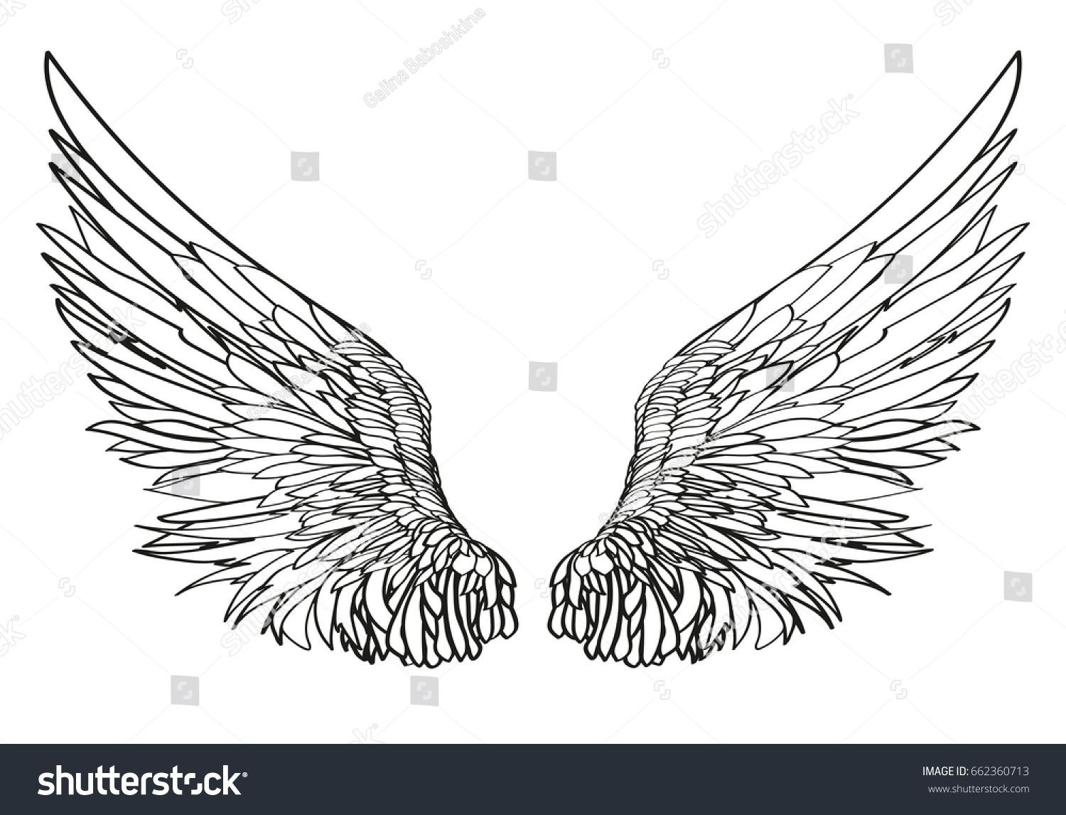 Очертание Крылья на белом