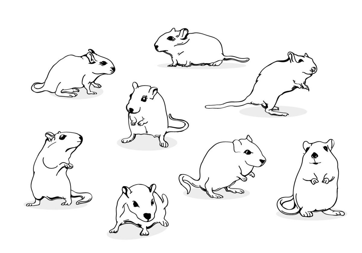 Много мышек на одном листе