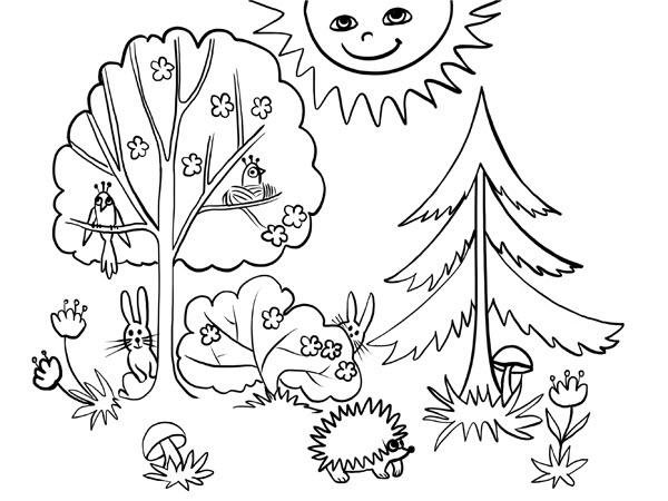 Лес раскраска для детей