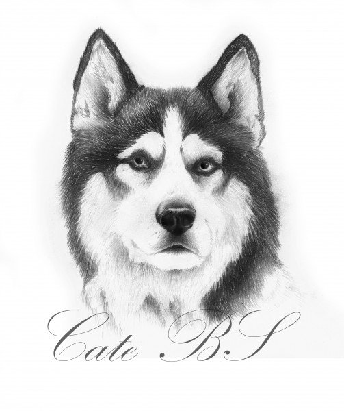 Лайка карандашом