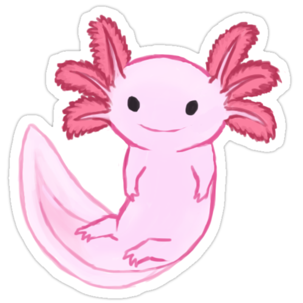 Аксолотль раскраска