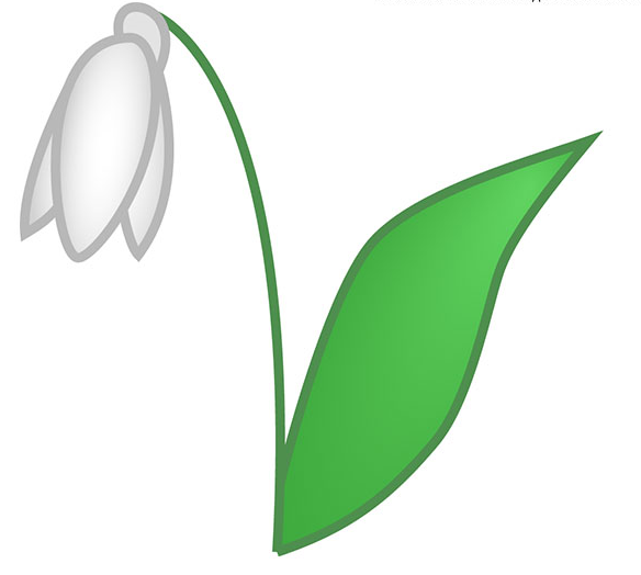 Подснежник раскраска