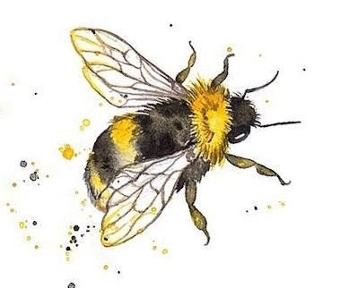 Шмель карандашом