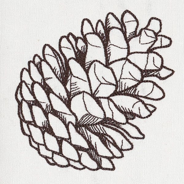 Сосновая шишка для выжигания по дереву