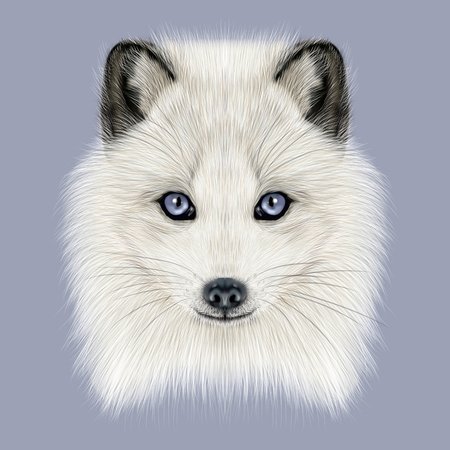 Маска песца