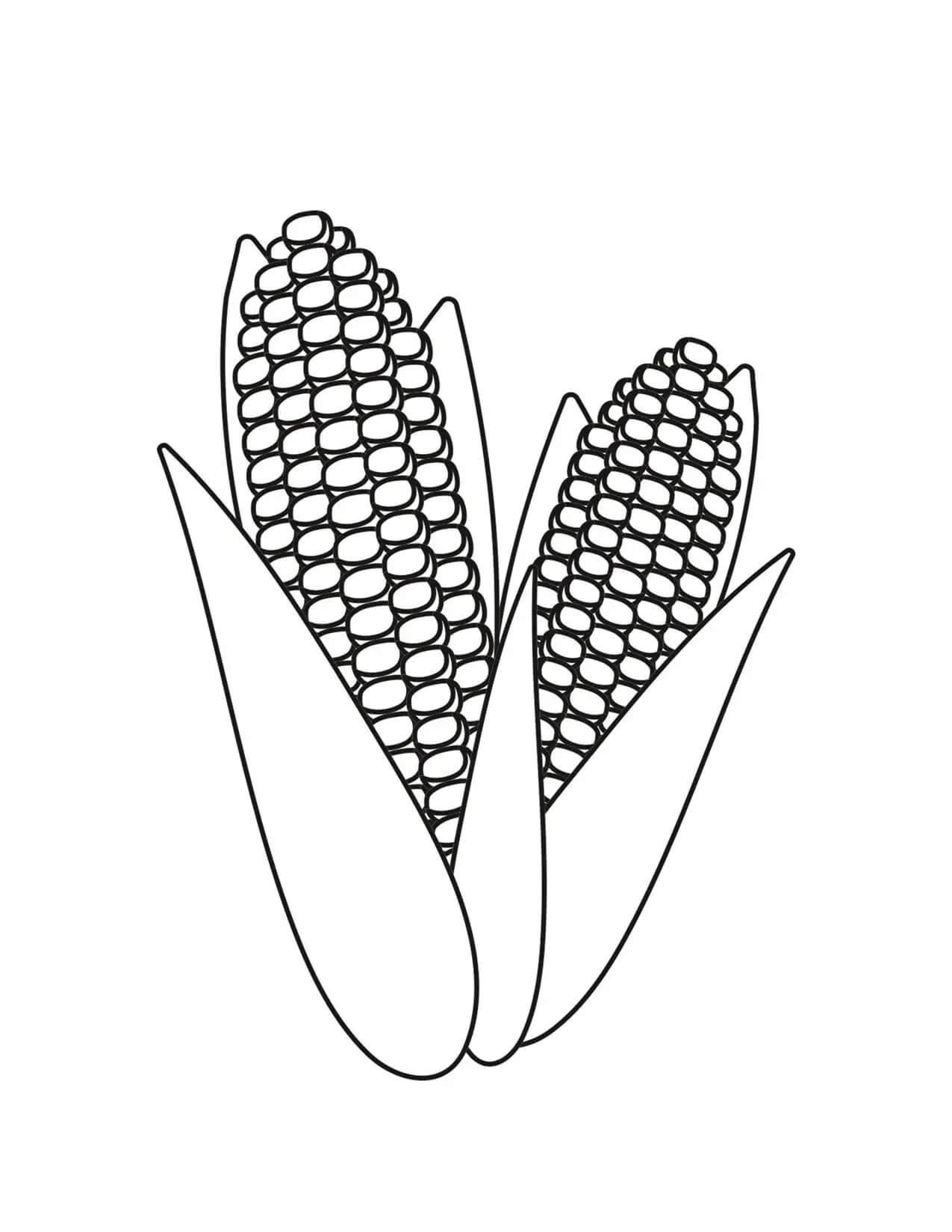 Шаблон сладкой кукурузы для вырезания