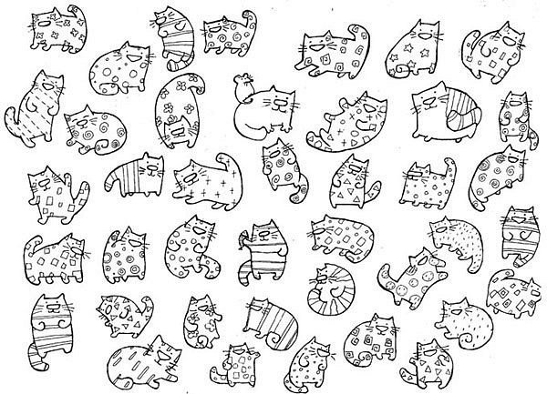 Пушин Кэт с едой