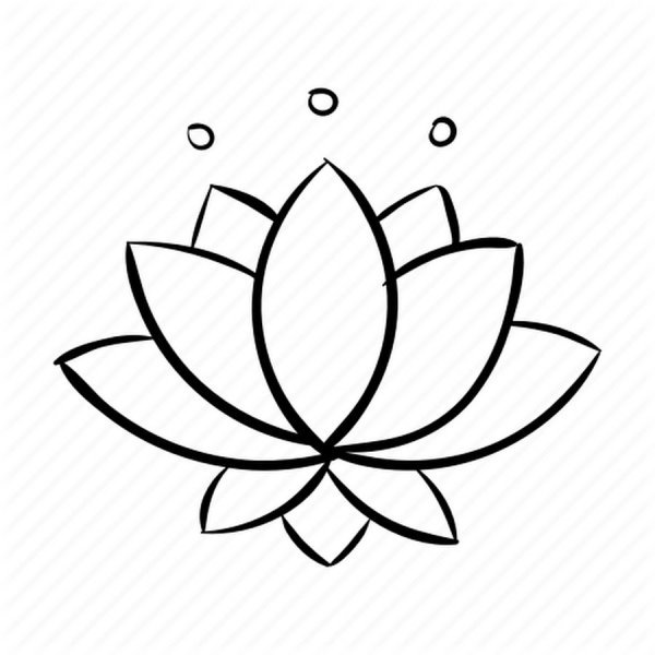 Цветок лотоса контур